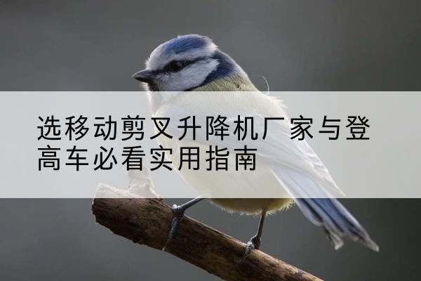 铁山电动升降机厂家-选移动剪叉升降机厂家与登高车必看实用指南