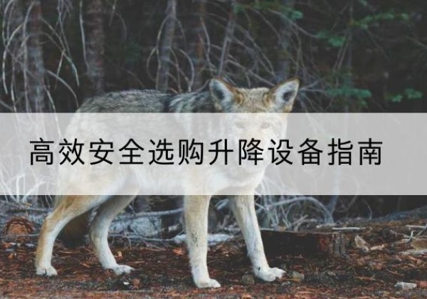 铁山升降货梯厂家推荐-*安全选购升降设备指南