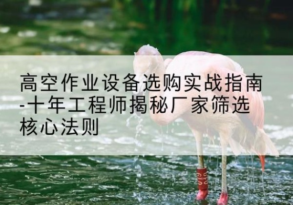 铁山剪叉式升降机厂家-高空作业设备选购实战指南-十年工程师揭秘厂家筛选核心法则